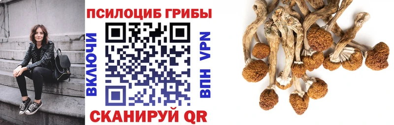 Псилоцибиновые грибы MAGIC MUSHROOMS  Купить закладки  Железногорск 